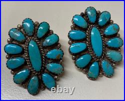 Bernice Bonney, Earrings, Turquoise, Cluster, Sterling Silver, Navajo