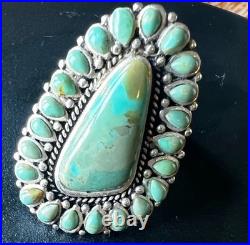 NWOT Barse 925 Jewelry Sedona Blue Turquoise and Sterling Silver Statement Ring NWOT Barse 925 Jewelry Sedona Blue Turquoise and Sterling Silver Statement Ring