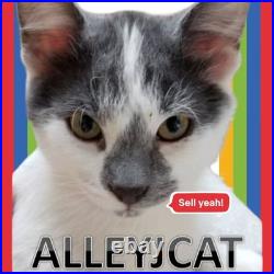 Native American Artistic Pendant. 925 Turquoise 3 inch Jefferson Abeyta Navajo