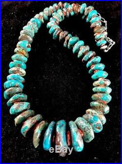 Native American Blue Green Turquoise Spiny Oyster Sterling Silver Necklace 22